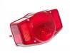 Tail light assembly (USA models)